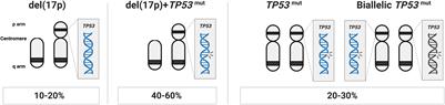 Precision diagnostics in chronic lymphocytic leukemia: Past, present and future